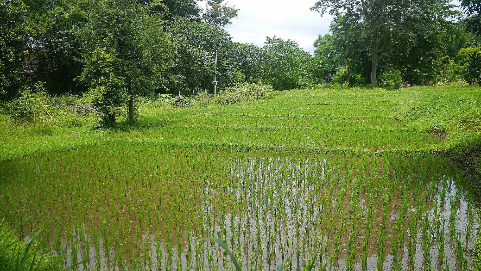 Pho Rak Nah Pai Hotel Bagian luar foto